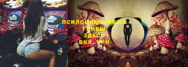 гашик Вязьма