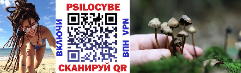 Купить где  Белоусово  Галлюциногенные грибы мухоморы 